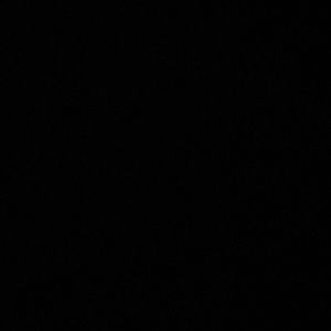 Meet your Posher, Celia